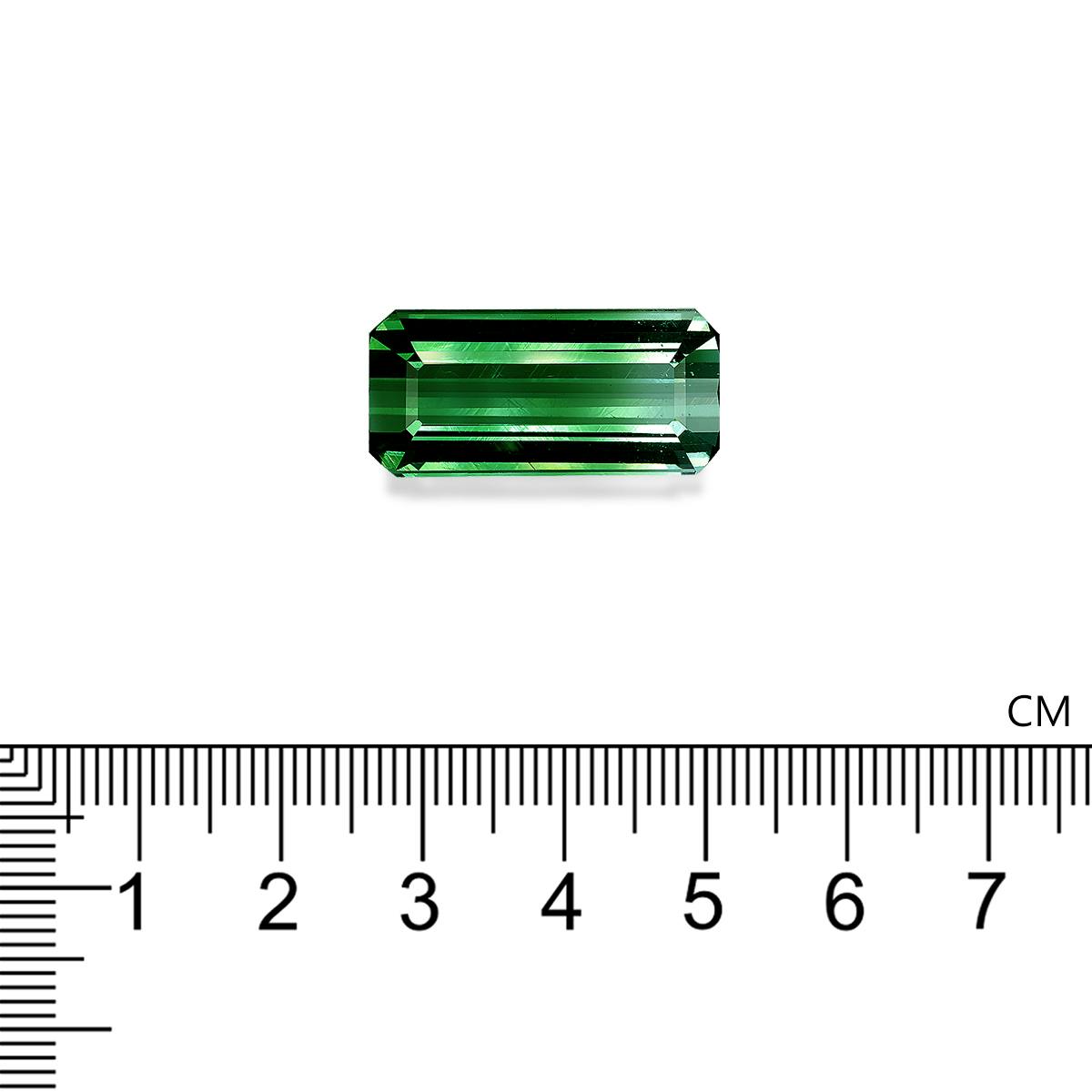 Bi Colour Tourmaline 33.12 ct
